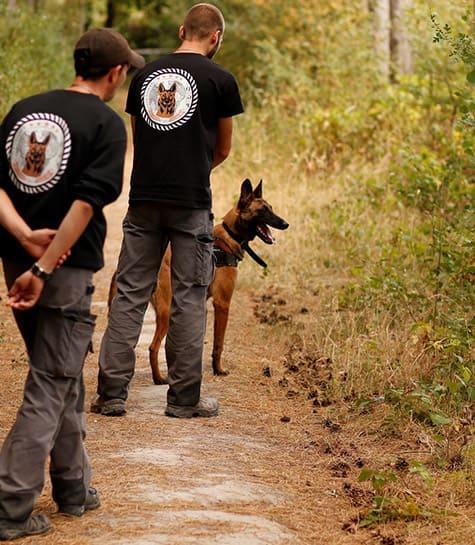 Domaine de Gazzo Padovano : formation éducateur canin à Sury-aux-Bois près d'Orléans & Montargis (45)